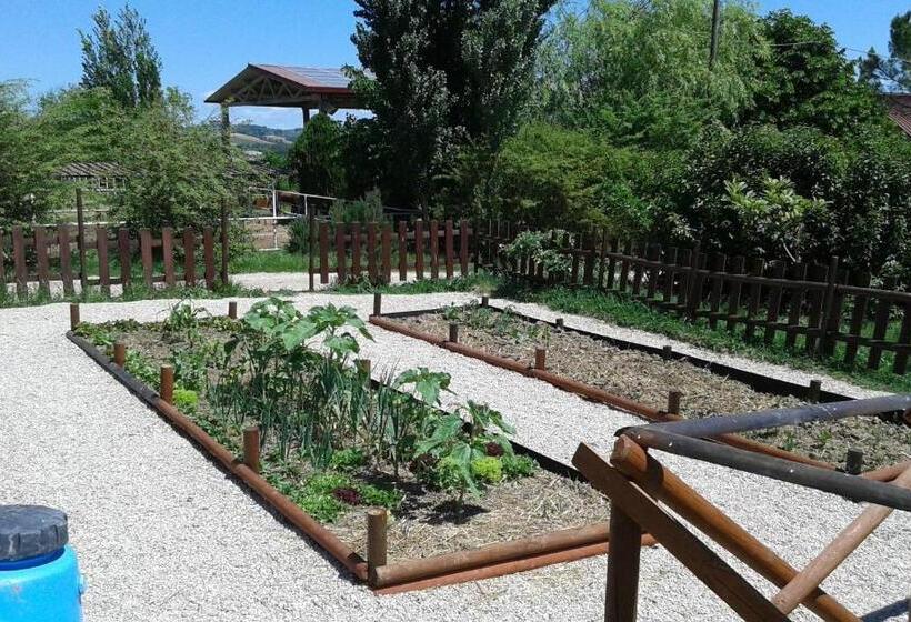 Hôtel Rural Fattoria Il Bruco