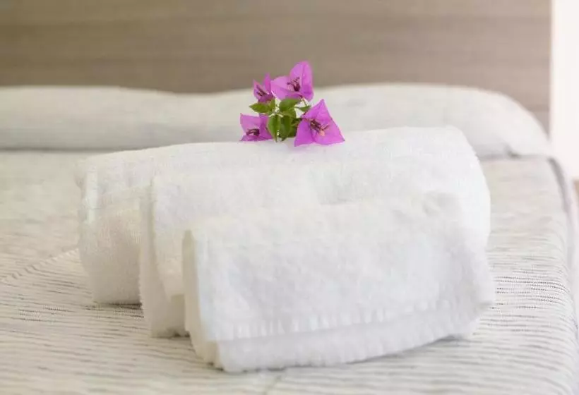 ベッドアンドブレックファースト Il S Ogno