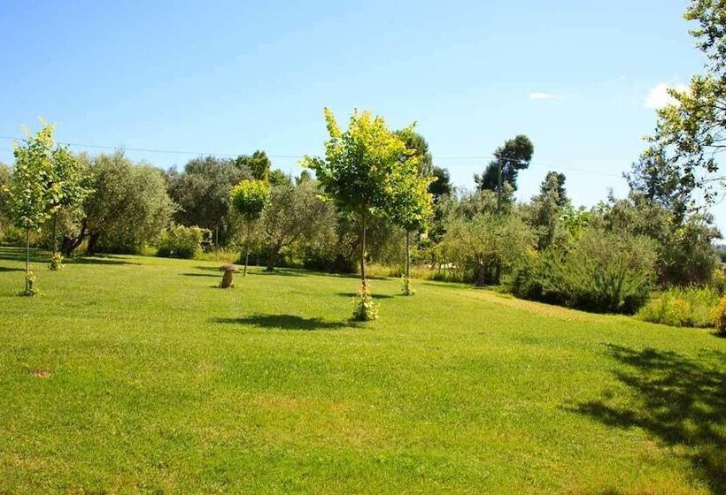 住宿加早餐  Bellafiora Affittacamere