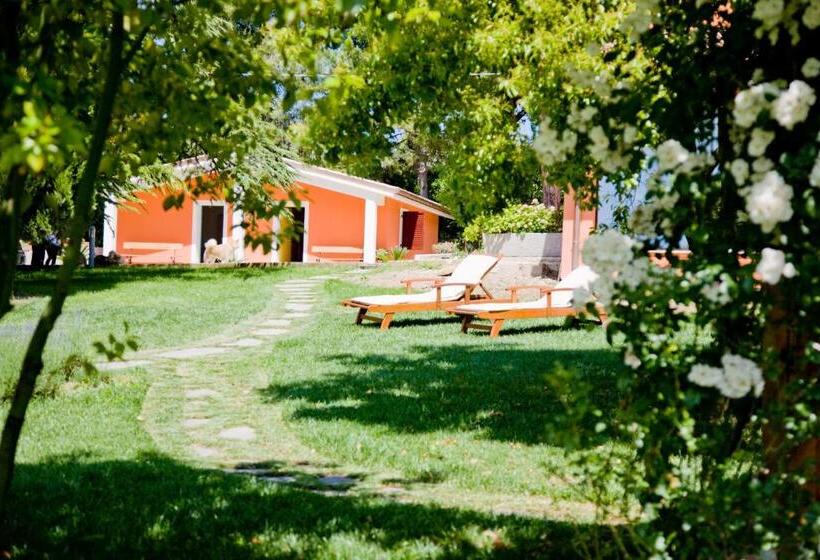 住宿加早餐  Bellafiora Affittacamere