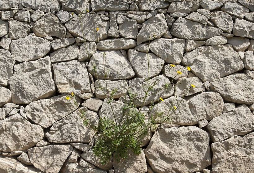 فندق Camping Fiori Di Noto