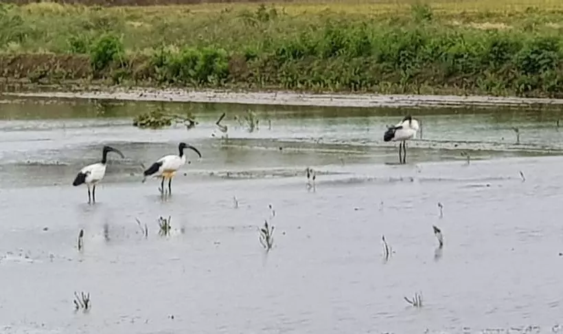 田舎風ホテル Az.agr.cascina Moretta