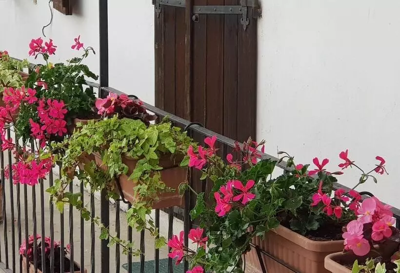 田舎風ホテル Az.agr.cascina Moretta