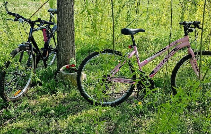 בית מלון כפרי Az.agr.cascina Moretta