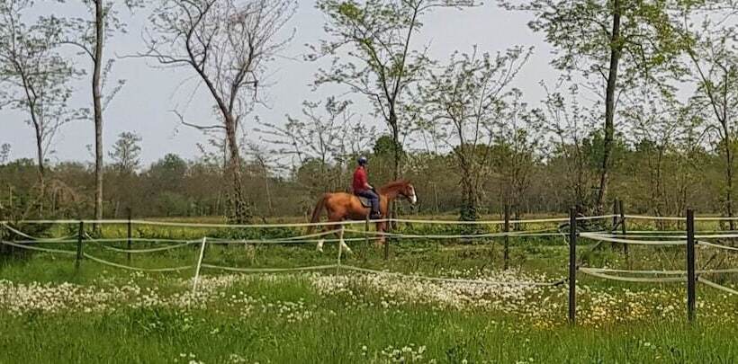 בית מלון כפרי Az.agr.cascina Moretta