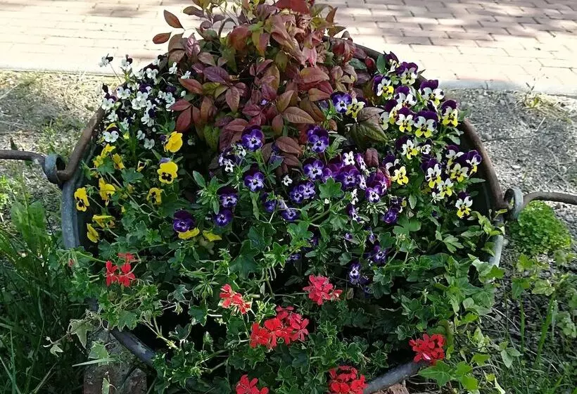 田舎風ホテル Az.agr.cascina Moretta