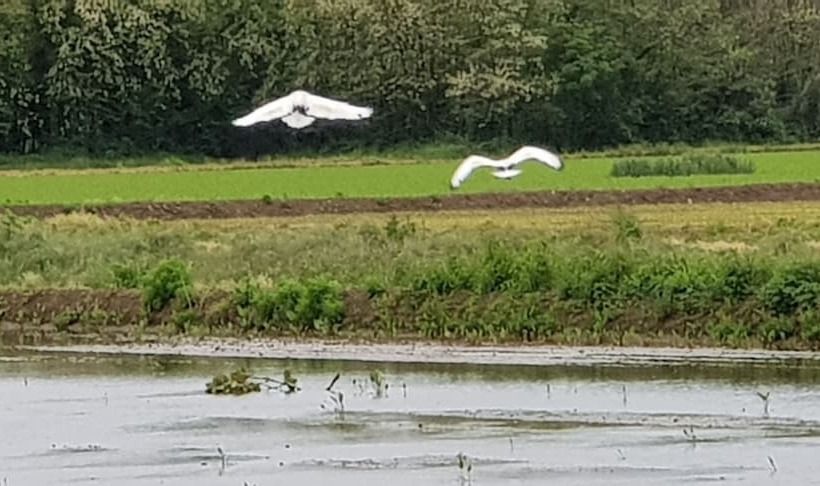 בית מלון כפרי Az.agr.cascina Moretta