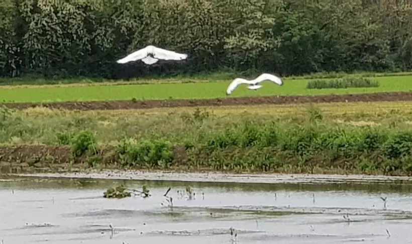 田舎風ホテル Az.agr.cascina Moretta