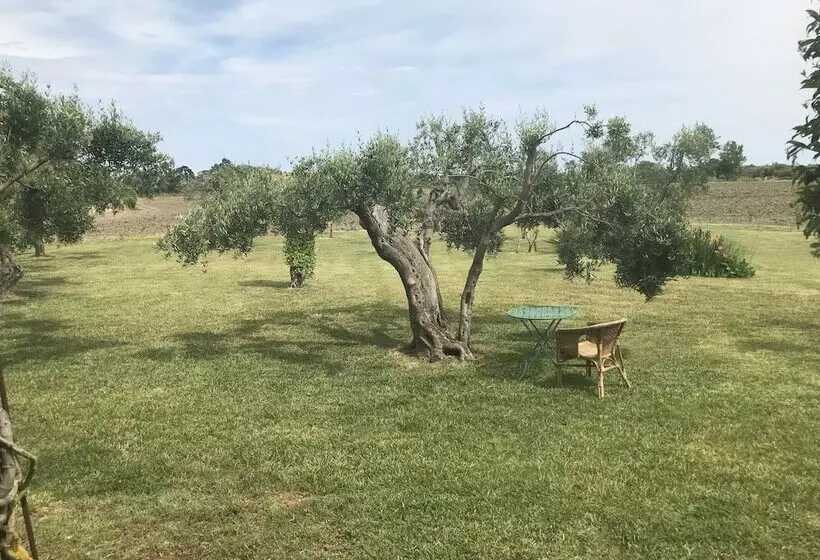 هتل روستایی Masseria Scannaturco