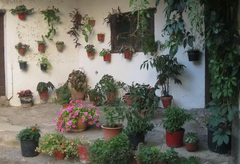 Pension Peperillo