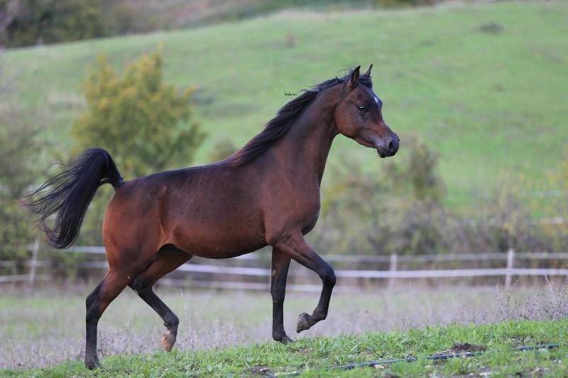 Fattoria Ca Di Fatino