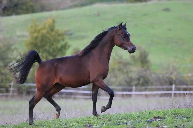 Fattoria Ca  Di Fatino