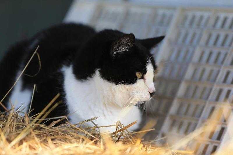 Fattoria Ca Di Fatino