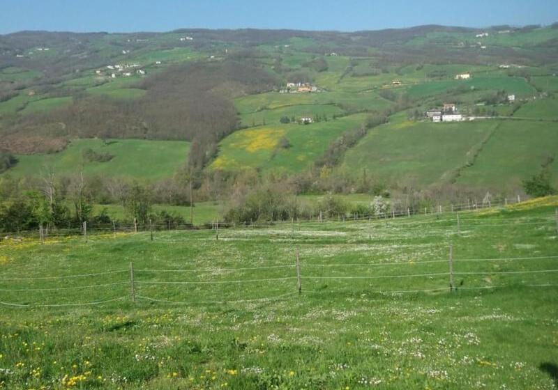 Fattoria Ca Di Fatino