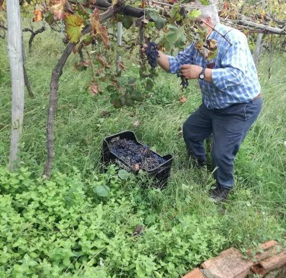 Hostelli Albergo Diffuso Borgo Dei Greci