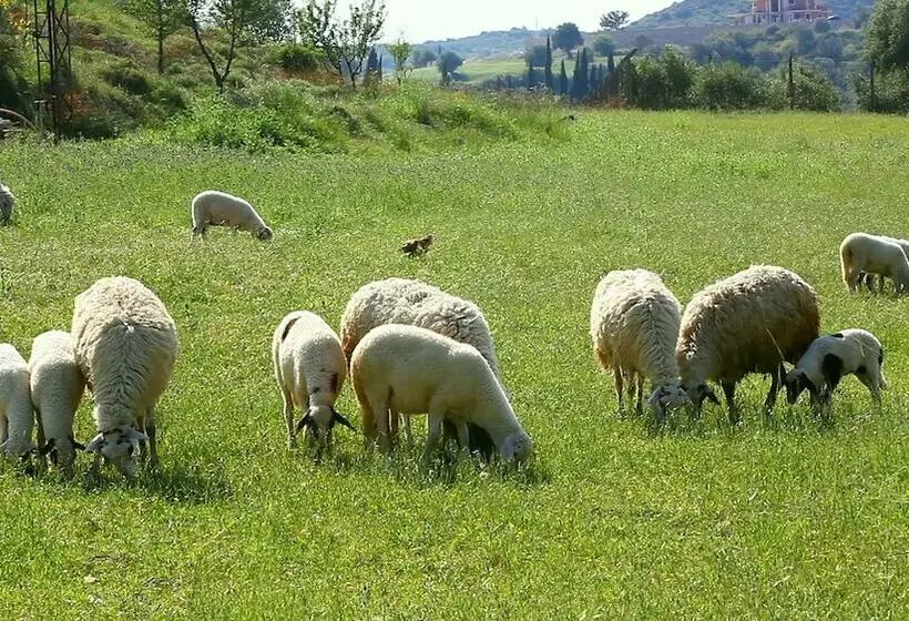 田舎風ホテル Agriturismo Poggio Del Sole