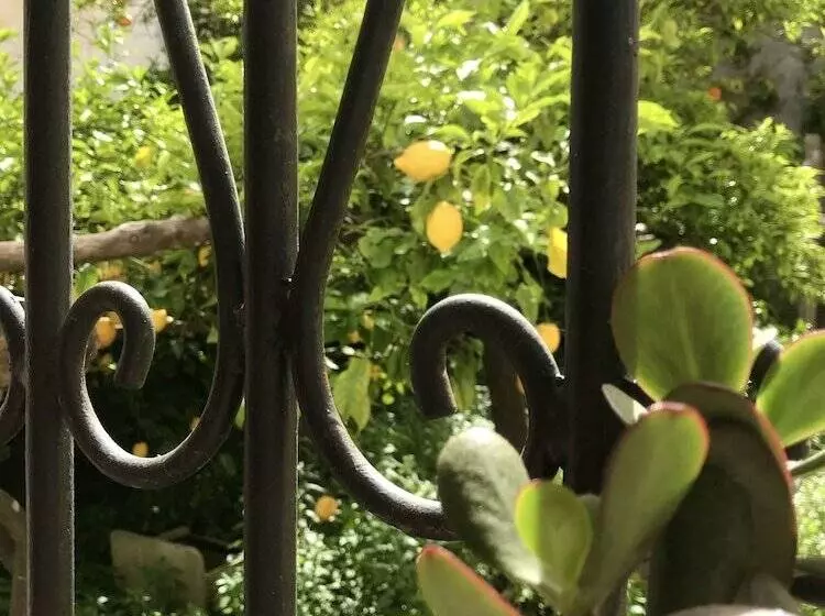 La Corte Dei Naviganti B&b   Amalfi Coast   Cetara