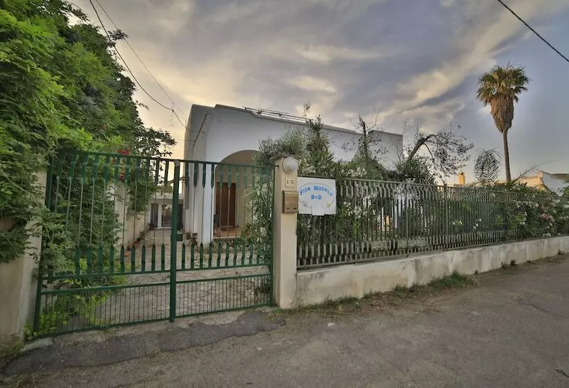 Villa Musella B&b