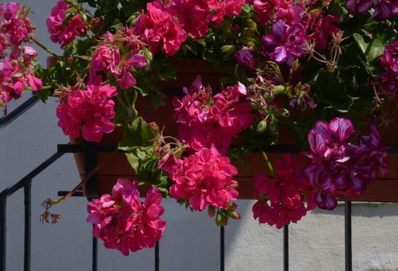 B&b Caffelletto  Papardo