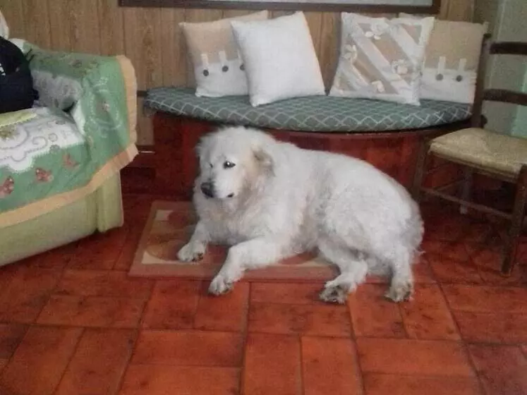 B&b Su Narboni Mannu E4247