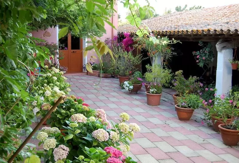 B&b Su Narboni Mannu E4247