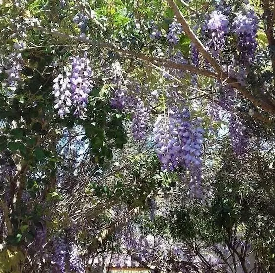 B&b Su Narboni Mannu E4247