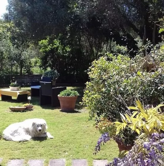 B&b Su Narboni Mannu E4247