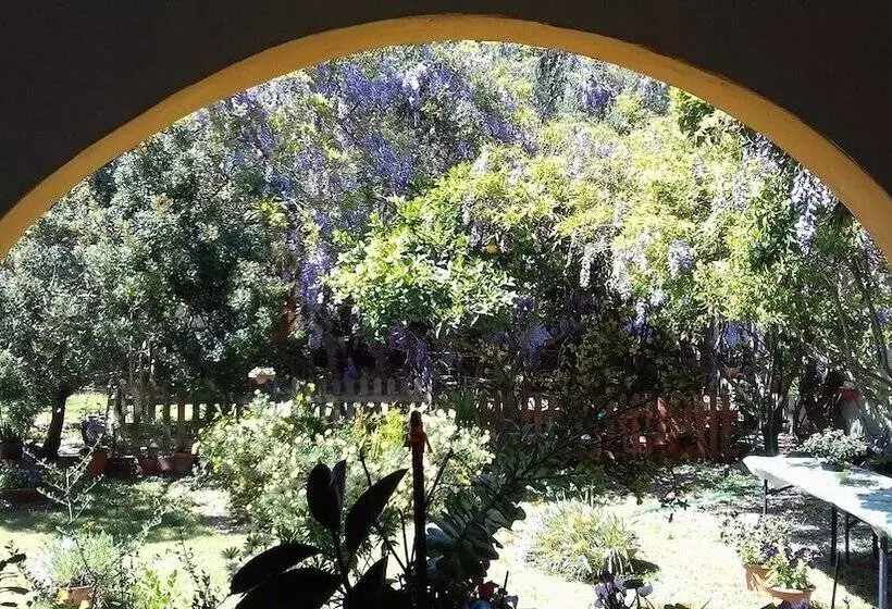 B&b Su Narboni Mannu E4247