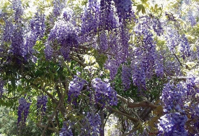 B&b Su Narboni Mannu E4247