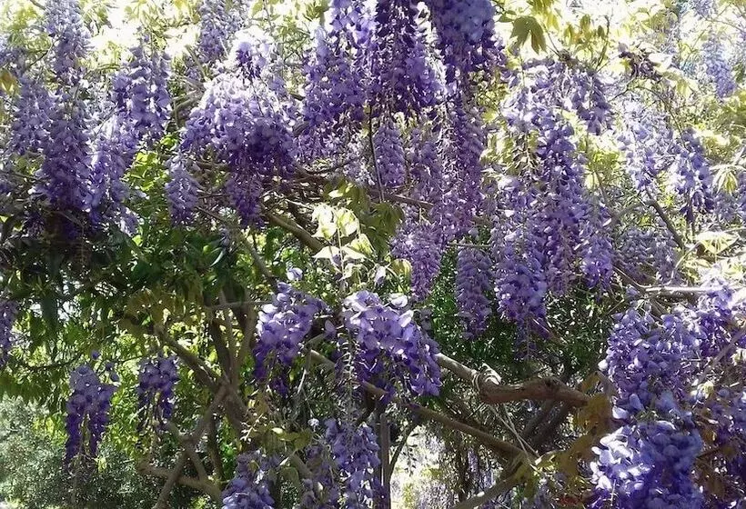 B&b Su Narboni Mannu E4247