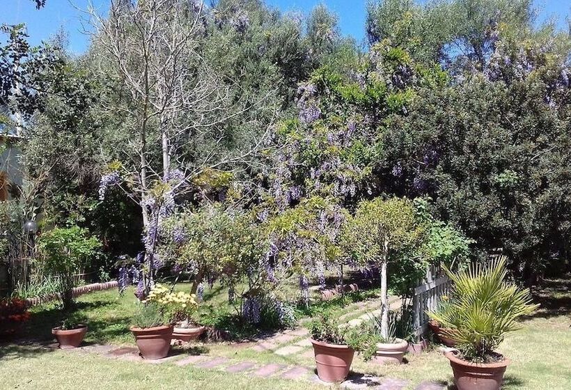 B&b Su Narboni Mannu E4247