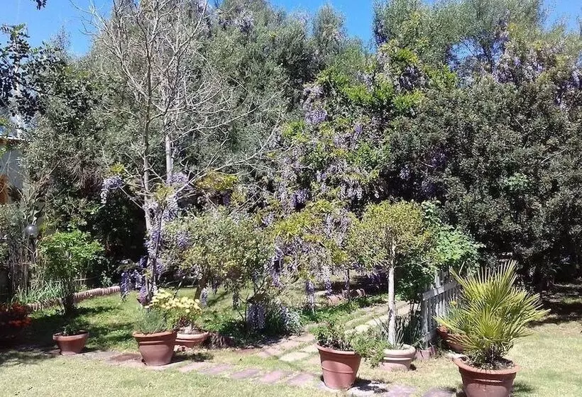 B&b Su Narboni Mannu E4247