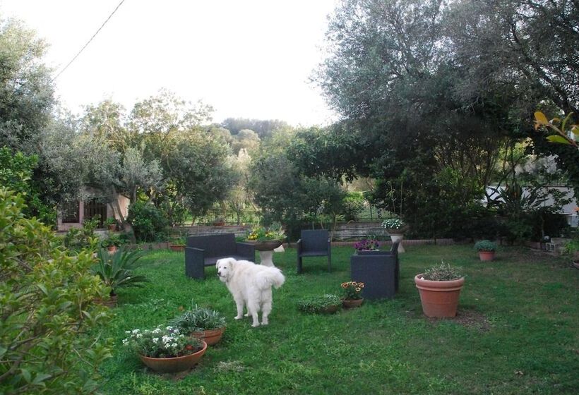 B&b Su Narboni Mannu E4247