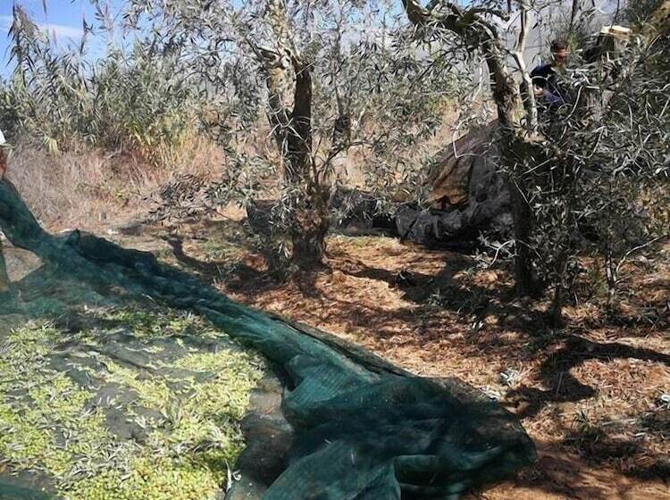 호텔 Ciriga Sicily Glamping Resort