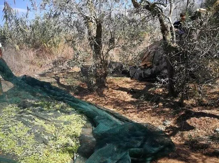 Hotelli Ciriga Sicily Glamping Resort