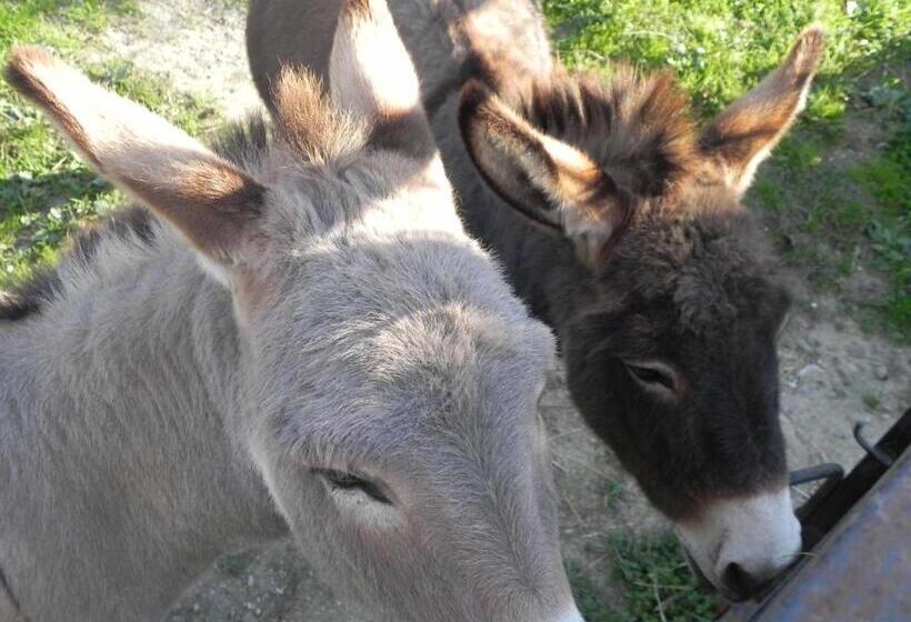 교외 호텔 Fattoria Di Marena