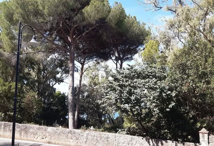 B&b Posidonia