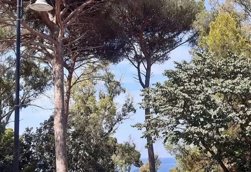 B&b Posidonia