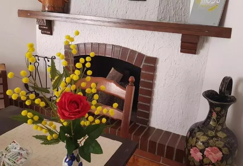 B&b Mimosa