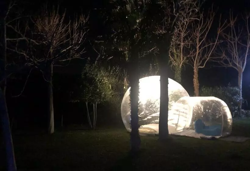 Aamiaismajoitus (B&B) Leamorine White House