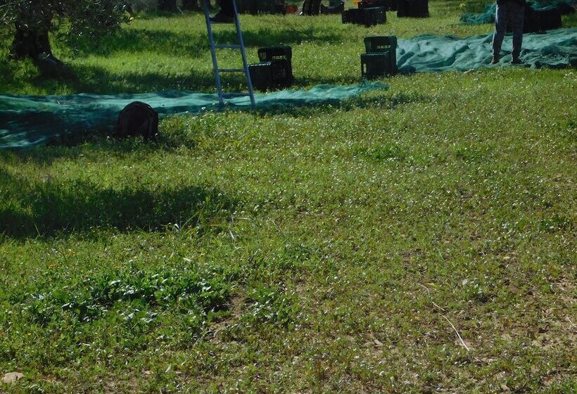 בית מלון כפרי Agriturismo Case Sgaraglino