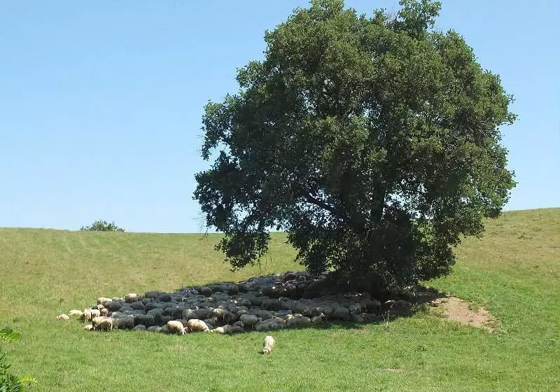 Agriturismo Lago Di Mezzano