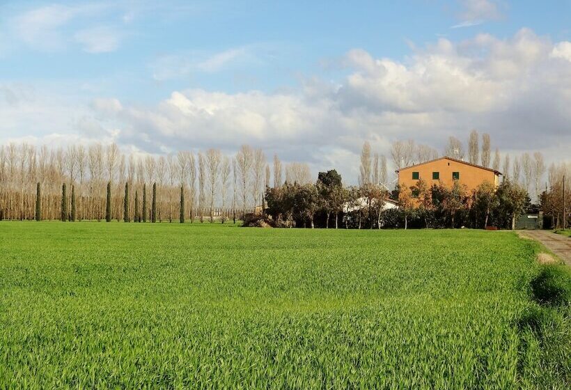 בית מלון כפרי Agriturismo Pinzale