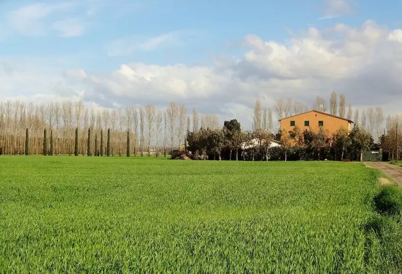 هتل روستایی Agriturismo Pinzale