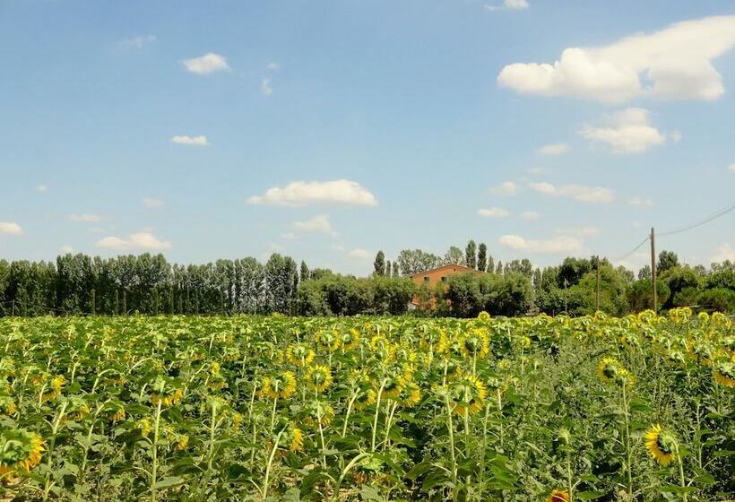 בית מלון כפרי Agriturismo Pinzale