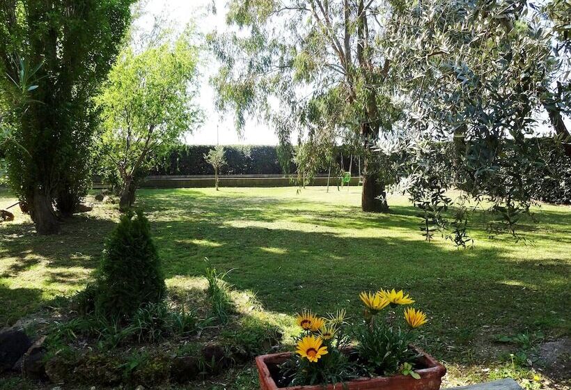 בית מלון כפרי Agriturismo Pinzale