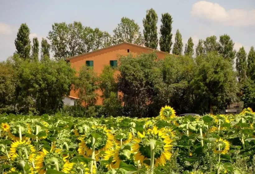 هتل روستایی Agriturismo Pinzale