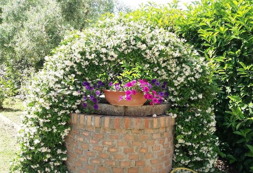 בית מלון כפרי Agriturismo Pinzale