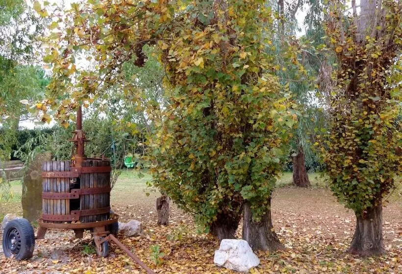 هتل روستایی Agriturismo Pinzale