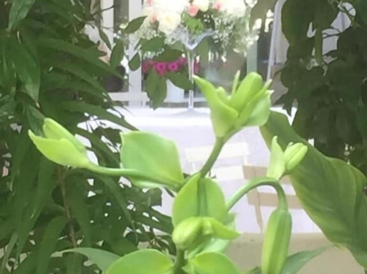 Femily B&b Bed And Breakfast Di Puglia In Bari